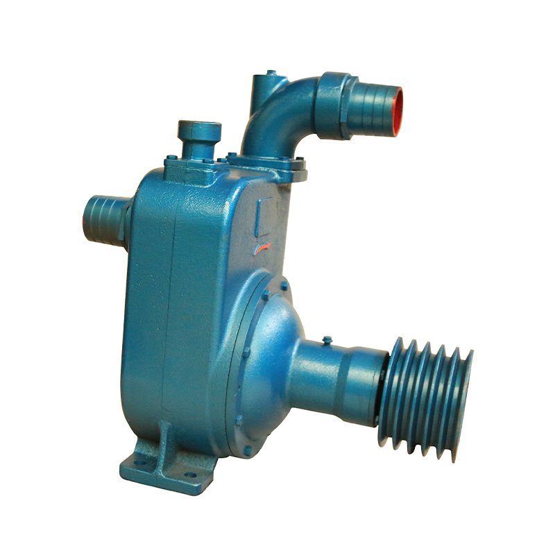 Sprinkler Irrigation Self-Priming Pump Demand Grows as Homeowners Expand Lawn and Garden Irrigation