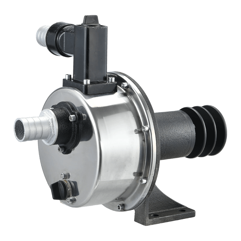 Stainless steel pumps